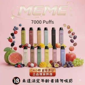 MEME 7000口 拋棄式電子煙 韓國爆款 7000口高續航 Mesh網芯 油電同顯 16款口味現貨