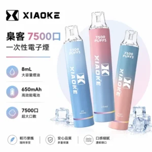 XIAOKE 梟客 7500口一次性電子煙 | 8ml油倉 650mAh電池 | Type-C快充 氣動感應 20種口味 台灣現貨