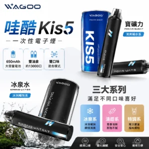 哇酷 WAGOO & KIS5 6500口一次性電子煙 | 聯名款雙倉獨立雙芯 650mAh電池 Type-C快充 | 雙口味切換/混合輸出 12款口味 台灣現貨
